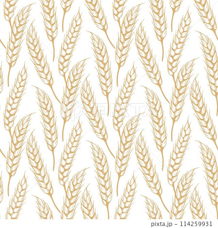 Seamless pattern sketch of ripe spikelets vector graphics Seamless pattern sketch of ripe spikelets vector graphics 114259931