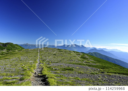 朝の乗鞍大黒岳からの風景（撮影地：乗鞍、大黒岳） 114259968