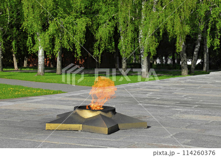 Eternal flame in the memorial park 114260376