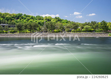 関電宇治発電所放水路から宇治川へ流れ出る水 114260625