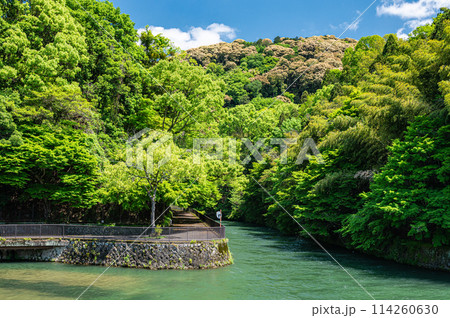 新緑の関電宇治発電所放水路 114260630