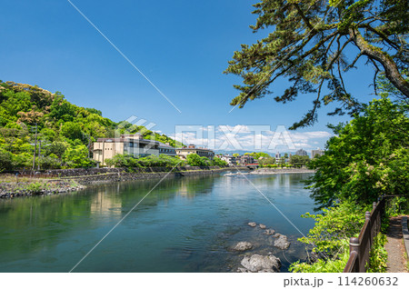 新緑の宇治川風景 京都府宇治市 新緑の宇治川風景 京都府宇治市 114260632