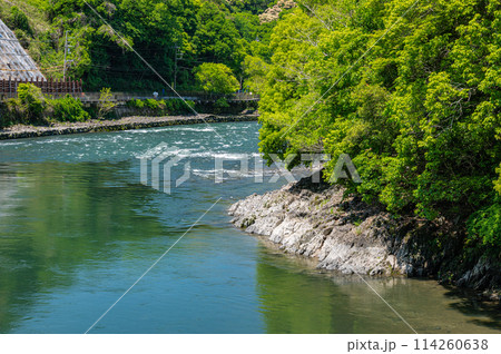 新緑の宇治川風景　京都府宇治市 114260638