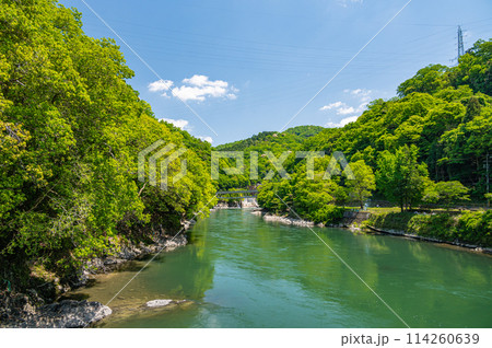 新緑の宇治川風景　京都府宇治市 114260639