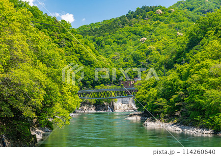新緑の宇治川風景　白虹橋　京都府宇治市 114260640