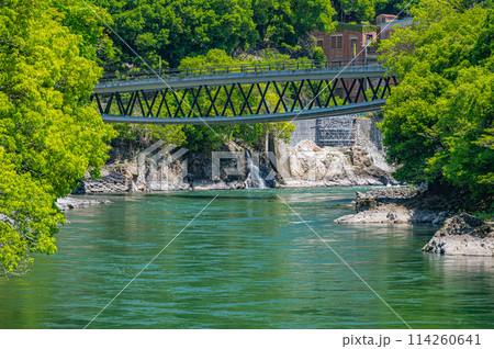 新緑の宇治川風景　白虹橋　京都府宇治市 114260641