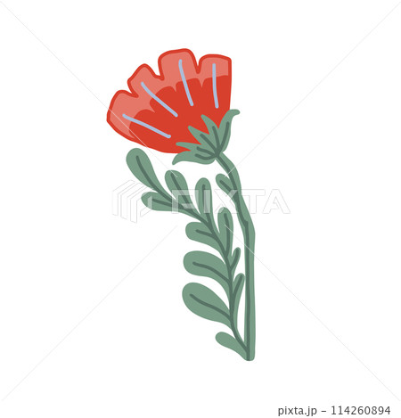 Colorful floral doodle illustration in a trendy style 114260894