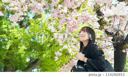 スーツを着た若い女性と桜のポートレート 114260952