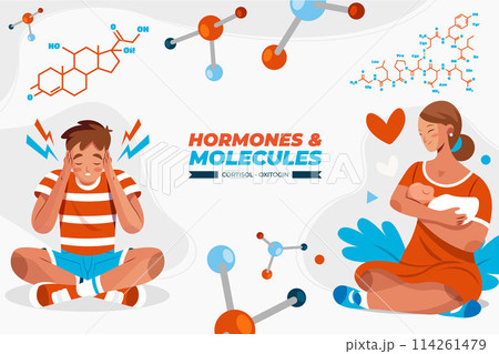Hormones and Molecules flat cartoon Background 114261479