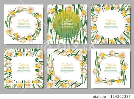 Set of Spring background with daffodils. Postcard, banner for Easter. Spring time. Frame with delicate spring flowers. Set of Spring background with daffodils. Postcard, banner for Easter. Spring time. Frame with delicate spring flowers. 114262387