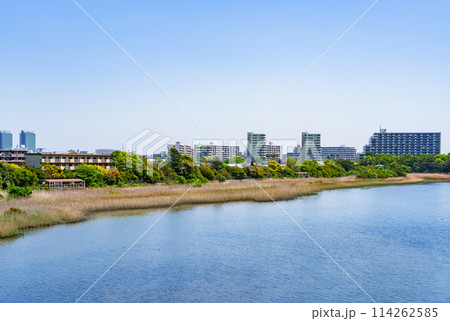 谷津干潟 （ やつひがた ）は 京葉線 南船橋駅 から徒歩10分の 干潟 【 ふなばし の 風景 】 114262585
