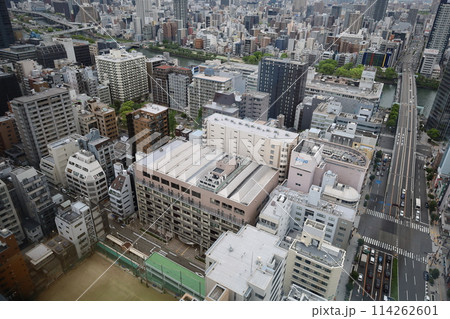 大阪城を望む春の長雨、四月、タワーマンションのラウンジより大阪城公園を望む 大阪城を望む春の長雨、四月、タワーマンションのラウンジより大阪城公園を望む 114262601