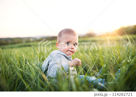 Cute toddler sitting in grass. Baby on family walk k in spring nature. Happy family moment for new parents 114262721