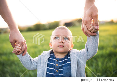 New parents holding small toddler, by hands, swinging him. Family outdoors on walk in spring nature. Happy family moment New parents holding small toddler, by hands, swinging him. Family outdoors on walk in spring nature. Happy family moment 114262763