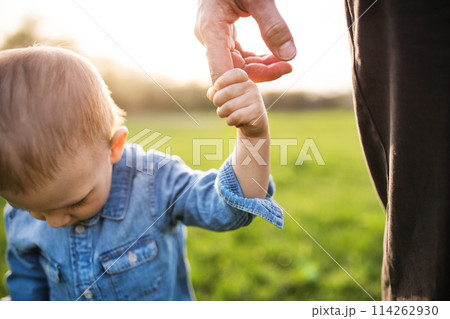 Portrait of father holding little toddler boy by finger, walking in spring nature. First steps for boy during warm spring day. Father's day concept. 114262930