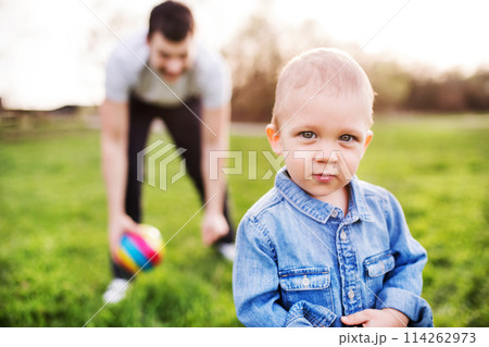 Father playing with little toddler boy in grass, having fun during warm spring day. Father's day concept. Family time outdoors. 114262973