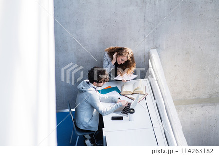 Colleagues helping each other, working on project together. Brainstorming in modern office space. Teamwork. Colleagues helping each other, working on project together. Brainstorming in modern office space. Teamwork. 114263182