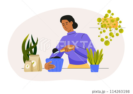 People gardening home plants, watering and growing 114263198