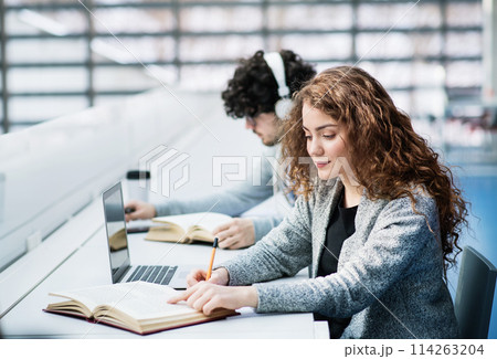 Young female student in library, focusing on final project, presentation. University student preparing for final exam. Young female student in library, focusing on final project, presentation. University student preparing for final exam. 114263204