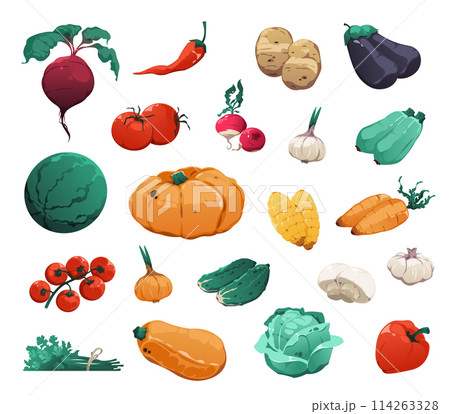 Cartoon vegetables collection, pepper eggplant and carrot 114263328