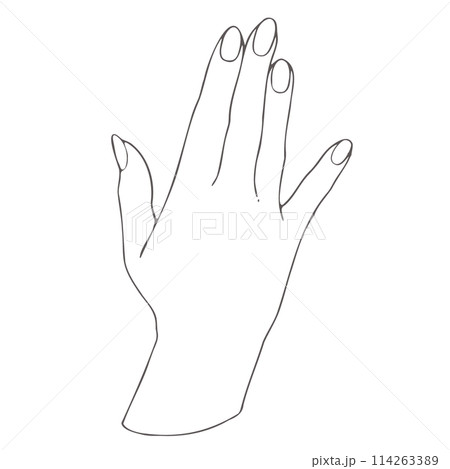 女性の手の線画 114263389