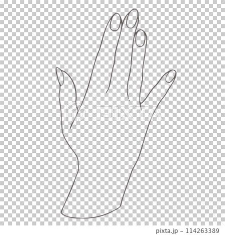 女人的手的線條畫 114263389
