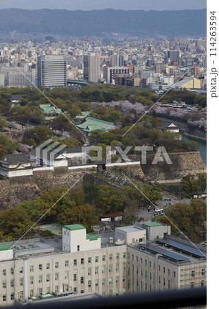 空から眺める大阪城鳥瞰図　桜の季節　生駒山系　春の青空に映える満開の桜 114263594