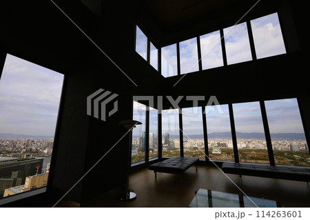 空から眺める大阪城鳥瞰図　桜の季節　生駒山系　春の青空に映える満開の桜 114263601