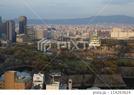 空から眺める大阪城鳥瞰図　桜の季節　生駒山系　春の青空に映える満開の桜 114263624