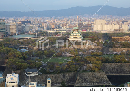 空から眺める大阪城鳥瞰図　桜の季節　生駒山系　春の青空に映える満開の桜 114263626