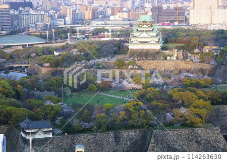空から眺める大阪城鳥瞰図 桜の季節 生駒山系 春の青空に映える満開の桜 空から眺める大阪城鳥瞰図 桜の季節 生駒山系 春の青空に映える満開の桜 114263630