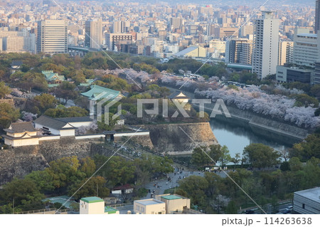 空から眺める大阪城鳥瞰図 桜の季節 生駒山系 春の青空に映える満開の桜 空から眺める大阪城鳥瞰図 桜の季節 生駒山系 春の青空に映える満開の桜 114263638