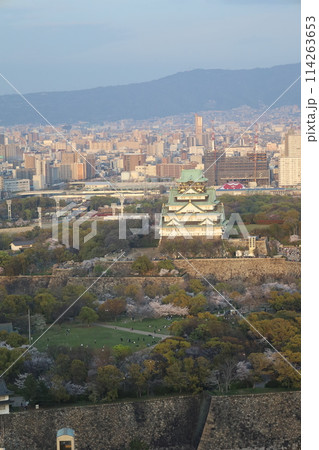 空から眺める大阪城鳥瞰図 桜の季節 生駒山系 春の青空に映える満開の桜 空から眺める大阪城鳥瞰図 桜の季節 生駒山系 春の青空に映える満開の桜 114263653