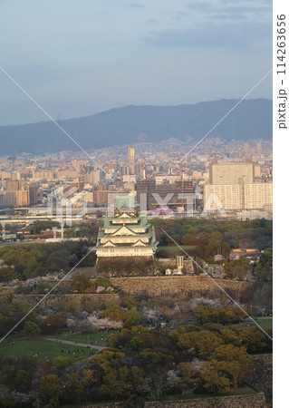 空から眺める大阪城鳥瞰図　桜の季節　生駒山系　春の青空に映える満開の桜 114263656