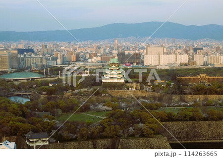 空から眺める大阪城鳥瞰図　桜の季節　生駒山系　春の青空に映える満開の桜 114263665