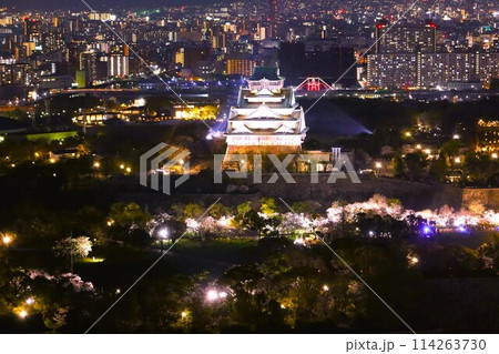 空から眺める大阪城鳥瞰図　桜の季節　生駒山系　黄昏時と夜景の大阪城ライトアップ 114263730