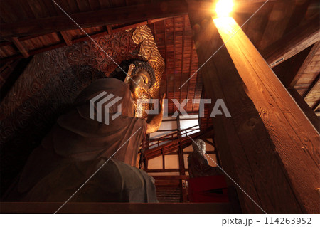 岐阜大仏 114263952