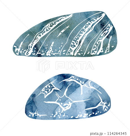 Watercolor and ink hand drawn marine life, sea ocean underwater creatures. fish, shells algae seaweed. Single object illustration, stylized, isolated on white. Zoo shop, aquarium, cosmetics, resort 114264345