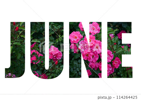 Word June from green leaves and pink flowers roses isolated on white background Word June from green leaves and pink flowers roses isolated on white background 114264425