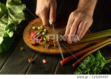 The cook hands using a knife to cut rheum plant on a kitchen board before preparing vitamin salad for lunch. Vegetarian dish cooking concept 114264497
