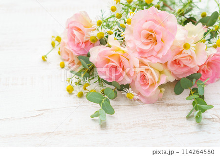 ピンクのバラとカモミールの花の背景 114264580