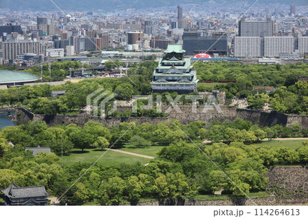 ゴールデンウィーク、五月初旬、若葉、初夏の大阪城公園、タワマンのラウンジから望む新緑の大阪城 114264613