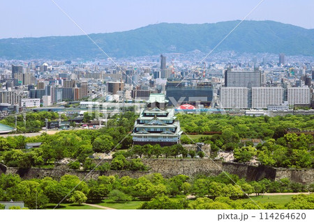 ゴールデンウィーク、五月初旬、若葉、初夏の大阪城公園、タワマンのラウンジから望む新緑の大阪城 ゴールデンウィーク、五月初旬、若葉、初夏の大阪城公園、タワマンのラウンジから望む新緑の大阪城 114264620