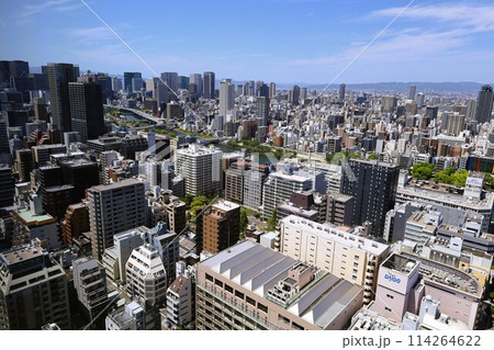 ゴールデンウィーク、五月初旬、若葉、初夏の大阪城公園、タワマンのラウンジから望む新緑の大阪城 ゴールデンウィーク、五月初旬、若葉、初夏の大阪城公園、タワマンのラウンジから望む新緑の大阪城 114264622