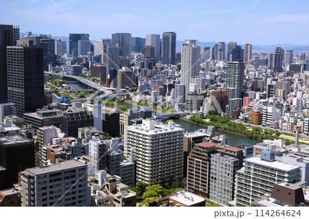 ゴールデンウィーク、五月初旬、若葉、初夏の大阪城公園、タワマンのラウンジから望む新緑の大阪城 ゴールデンウィーク、五月初旬、若葉、初夏の大阪城公園、タワマンのラウンジから望む新緑の大阪城 114264624