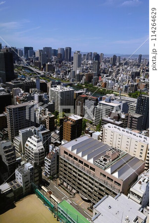 ゴールデンウィーク、五月初旬、若葉、初夏の大阪城公園、タワマンのラウンジから望む新緑の大阪城 114264629