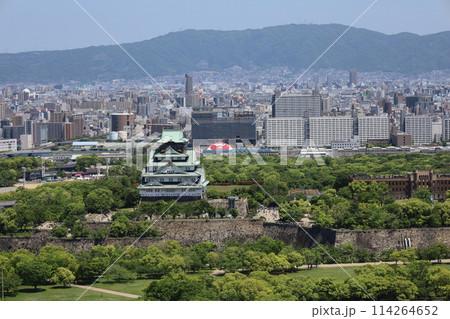 ゴールデンウィーク、五月初旬、若葉、初夏の大阪城公園、タワマンのラウンジから望む新緑の大阪城 ゴールデンウィーク、五月初旬、若葉、初夏の大阪城公園、タワマンのラウンジから望む新緑の大阪城 114264652
