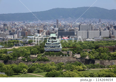 ゴールデンウィーク、五月初旬、若葉、初夏の大阪城公園、タワマンのラウンジから望む新緑の大阪城 114264654