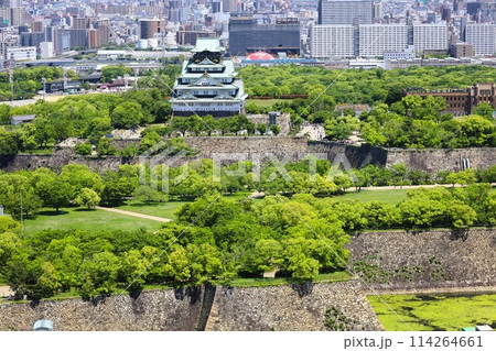 ゴールデンウィーク、五月初旬、若葉、初夏の大阪城公園、タワマンのラウンジから望む新緑の大阪城 ゴールデンウィーク、五月初旬、若葉、初夏の大阪城公園、タワマンのラウンジから望む新緑の大阪城 114264661