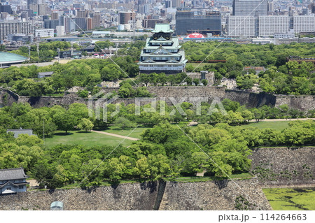 ゴールデンウィーク、五月初旬、若葉、初夏の大阪城公園、タワマンのラウンジから望む新緑の大阪城 ゴールデンウィーク、五月初旬、若葉、初夏の大阪城公園、タワマンのラウンジから望む新緑の大阪城 114264663